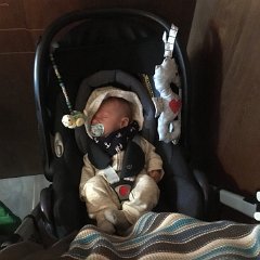 IMG 191